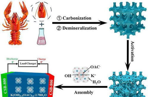 變廢為寶 科學(xué)家利用小龍蝦殼儲存能量
