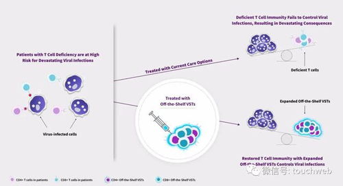 生物科技公司allovir美國上市 漲49 市值15.5億美元
