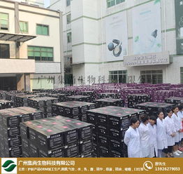 上?；瘖y品oem 集尚生物化妝品oem 化妝品oem代加工